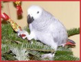 /album/fotogaleria/a5-jpg/